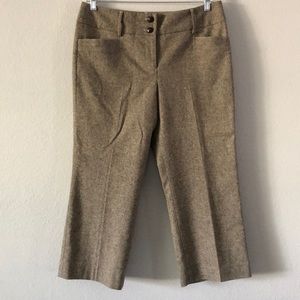 Ann Taylor Loft Wool Blend Pants